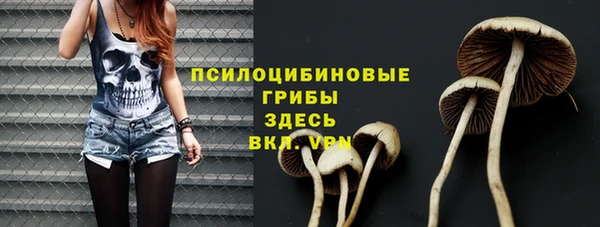 spice Алексин