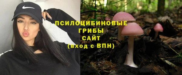 метамфетамин Алексеевка