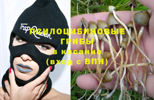 MESCALINE Алзамай