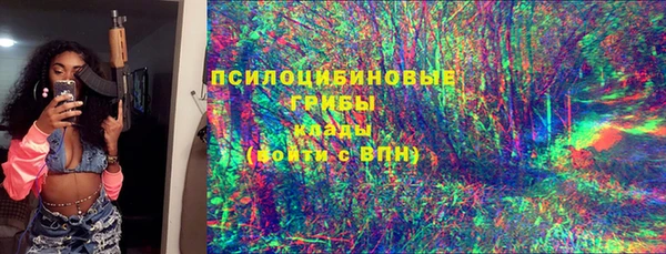 spice Алексин